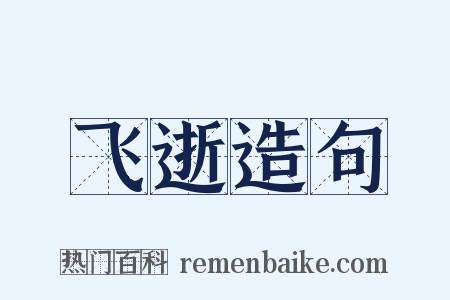 飞逝造句是什么意思的图片